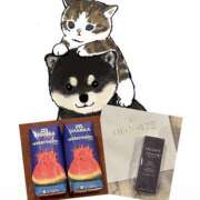 ヒメ日記 2025/08/08 10:37 投稿 みなみ イエローキャブ