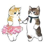 ヒメ日記 2025/08/22 02:42 投稿 みなみ イエローキャブ