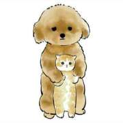 ヒメ日記 2025/09/01 02:27 投稿 みなみ イエローキャブ