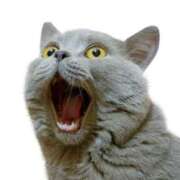 ヒメ日記 2025/09/13 14:16 投稿 みなみ イエローキャブ