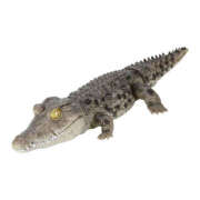 ヒメ日記 2025/09/17 14:06 投稿 みなみ イエローキャブ