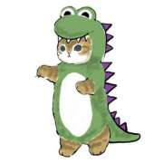 ヒメ日記 2025/09/20 01:07 投稿 みなみ イエローキャブ