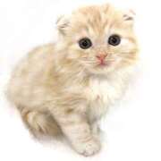 ヒメ日記 2025/09/23 02:25 投稿 みなみ イエローキャブ