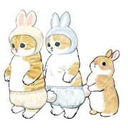 ヒメ日記 2025/10/16 00:00 投稿 みなみ イエローキャブ