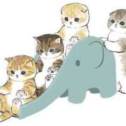 ヒメ日記 2025/10/17 01:58 投稿 みなみ イエローキャブ