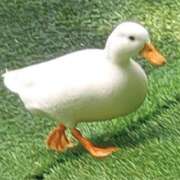 ヒメ日記 2025/10/17 02:00 投稿 みなみ イエローキャブ