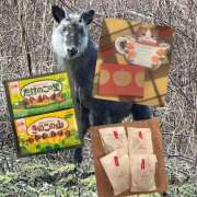 ヒメ日記 2025/11/07 02:00 投稿 みなみ イエローキャブ