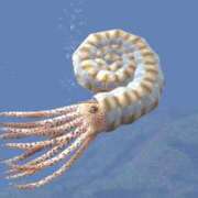 ヒメ日記 2025/11/28 01:58 投稿 みなみ イエローキャブ