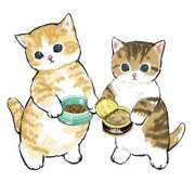 ヒメ日記 2025/11/30 01:42 投稿 みなみ イエローキャブ