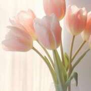 ヒメ日記 2024/12/24 22:57 投稿 じゅな 名古屋ちゃんこ