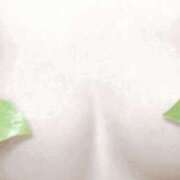 ヒメ日記 2025/04/27 12:40 投稿 まほ 新大阪秘密倶楽部