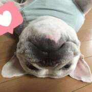 ヒメ日記 2025/12/29 13:10 投稿 まほ 新大阪秘密倶楽部