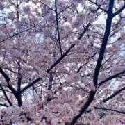 ヒメ日記 2026/03/30 16:30 投稿 まほ 新大阪秘密倶楽部