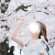 ヒメ日記 2025/04/12 03:30 投稿 てぃな ていくぷらいど.学園