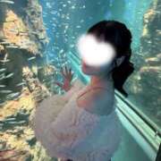 ヒメ日記 2025/10/03 16:00 投稿 てぃな ていくぷらいど.学園