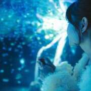 ヒメ日記 2025/10/24 14:16 投稿 てぃな ていくぷらいど.学園