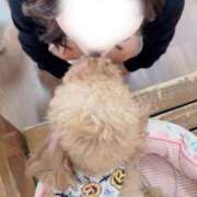 ヒメ日記 2025/11/05 14:19 投稿 てぃな ていくぷらいど.学園