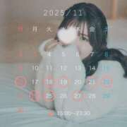 ヒメ日記 2025/11/09 00:39 投稿 てぃな ていくぷらいど.学園