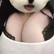 ヒメ日記 2025/08/17 19:09 投稿 安田　みこと SM東京　新宿店