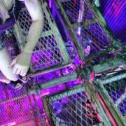 ヒメ日記 2025/08/18 15:28 投稿 ねお・SP やまとなでしこ桜組