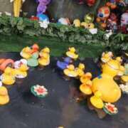 ヒメ日記 2025/11/06 20:13 投稿 ゆり One More奥様　町田相模原店