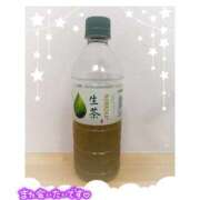 ヒメ日記 2025/01/12 19:26 投稿 ゆかり 進撃の妻