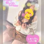 ヒメ日記 2025/03/26 15:13 投稿 ゆかり 進撃の妻