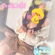 ヒメ日記 2025/07/19 14:31 投稿 ゆかり 進撃の妻