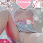 ヒメ日記 2025/04/18 12:31 投稿 まり マダムバンク 富山本店