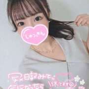 ヒメ日記 2025/08/15 14:28 投稿 まりる 品川ハイブリッドマッサージ