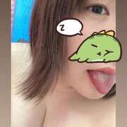 ヒメ日記 2024/12/31 10:48 投稿 りっか 成田富里インターちゃんこ