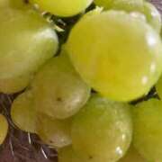 ヒメ日記 2025/09/13 20:52 投稿 りっか 成田富里インターちゃんこ