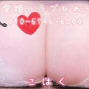 ヒメ日記 2024/12/23 13:12 投稿 こはく 愛姫～ラブひめ～