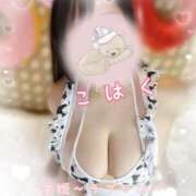 ヒメ日記 2025/02/16 17:44 投稿 こはく 愛姫～ラブひめ～