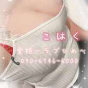 ヒメ日記 2025/06/24 20:40 投稿 こはく 愛姫～ラブひめ～