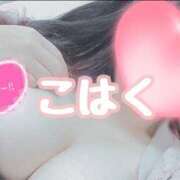 ヒメ日記 2026/02/26 16:16 投稿 こはく 愛姫～ラブひめ～