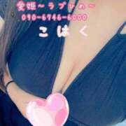 ヒメ日記 2026/04/24 19:03 投稿 こはく 愛姫～ラブひめ～