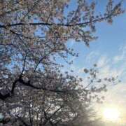 ヒメ日記 2026/04/09 00:27 投稿 はな サンキュー沼津店（サンキューグループ）