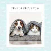 ヒメ日記 2025/02/20 07:55 投稿 なぎ 奥鉄オクテツ神奈川店（デリヘル市場グループ）