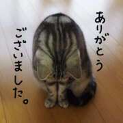 ヒメ日記 2025/03/03 15:10 投稿 なぎ 奥鉄オクテツ神奈川店（デリヘル市場グループ）