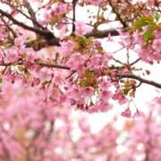 ヒメ日記 2025/03/07 12:20 投稿 なぎ 奥鉄オクテツ神奈川店（デリヘル市場グループ）