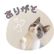 ヒメ日記 2026/07/01 12:30 投稿 なぎ 奥鉄オクテツ神奈川店（デリヘル市場グループ）