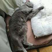 ヒメ日記 2025/07/02 17:03 投稿 ☆ルカ☆圧巻のF乳♪神秘の裸体 プロポーション オキナワ