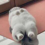 ヒメ日記 2025/11/28 11:18 投稿 ☆ルカ☆圧巻のF乳♪神秘の裸体 プロポーション オキナワ