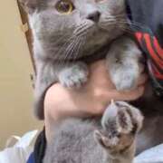 ヒメ日記 2025/11/29 10:27 投稿 ☆ルカ☆圧巻のF乳♪神秘の裸体 プロポーション オキナワ