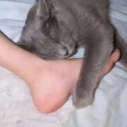 ヒメ日記 2026/04/25 08:18 投稿 ☆ルカ☆圧巻のF乳♪神秘の裸体 プロポーション オキナワ