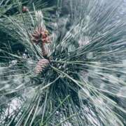 ヒメ日記 2025/01/05 09:31 投稿 磯部　まき Eureka！EGOIST～エゴイスト～-美とエロスの饗宴