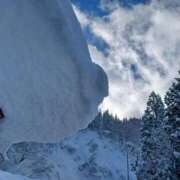 ヒメ日記 2025/01/19 08:41 投稿 磯部　まき Eureka！EGOIST～エゴイスト～-美とエロスの饗宴