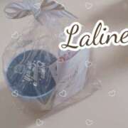 ヒメ日記 2025/01/24 08:55 投稿 磯部　まき Eureka！EGOIST～エゴイスト～-美とエロスの饗宴