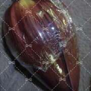 ヒメ日記 2025/02/10 09:35 投稿 磯部　まき Eureka！EGOIST～エゴイスト～-美とエロスの饗宴